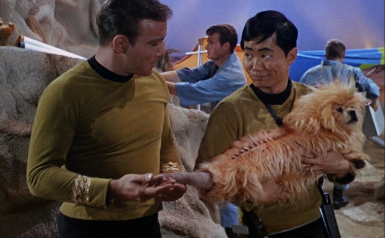 "How did you get this fake tail to..." "Staples, Captain"